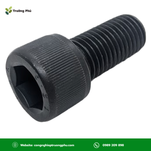 Hướng dẫn lựa chọn M5x16, M5x20 và phụ kiện đi kèm để đảm bảo mối ghép chắc chắn
