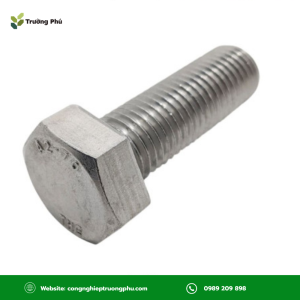 Bulong Inox 304 DIN933 M6x25