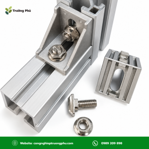 Bulong chữ T inox 304 M8x30 phù hợp lắp thanh dẫn hướng, gá cảm biến.